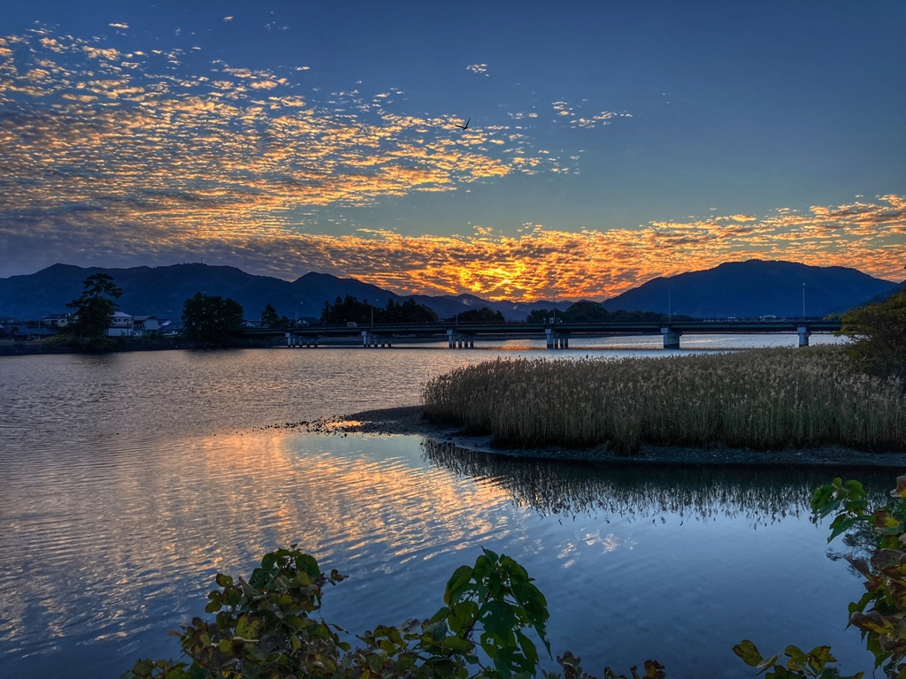今朝の寄り道.2