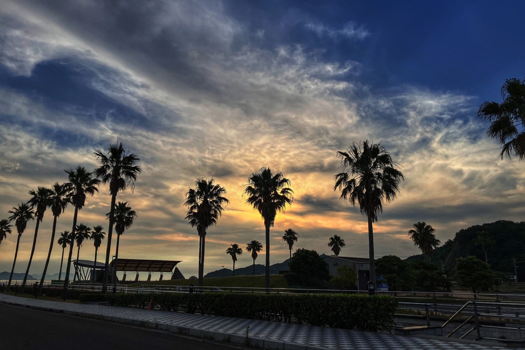 フェニックスのシルエット