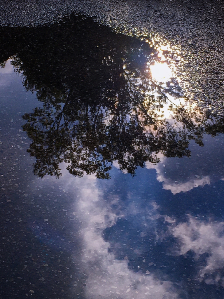 水溜りの中の空模様