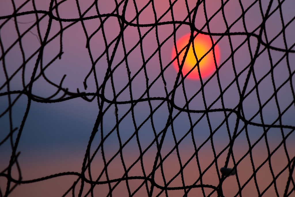 こりゃ魚が逃げるわなあ