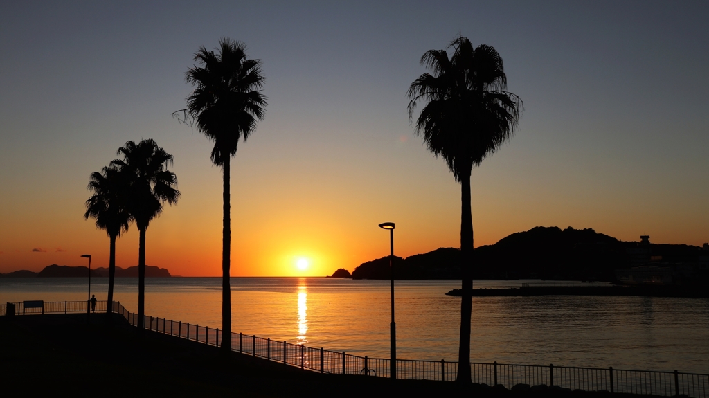 フェニックス越しの夕景