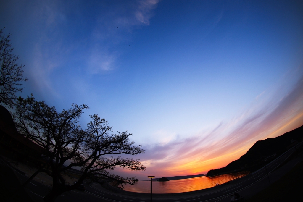 経時的3枚＋１枚