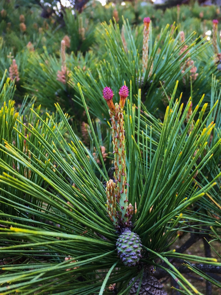 出勤前の寄り道.2