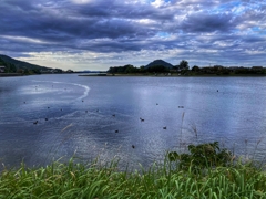 今日の河口付近