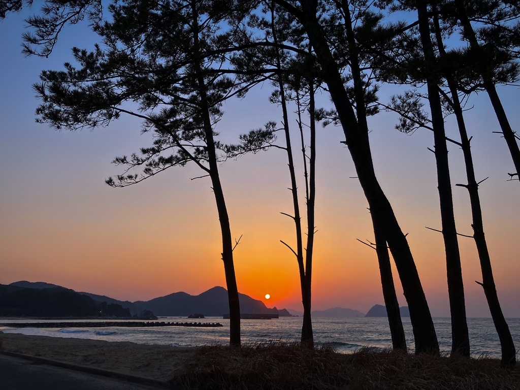 帰宅前の寄り道.3