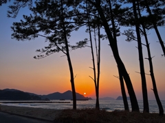 帰宅前の寄り道.3