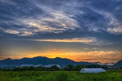 ビニールハウスのある朝景