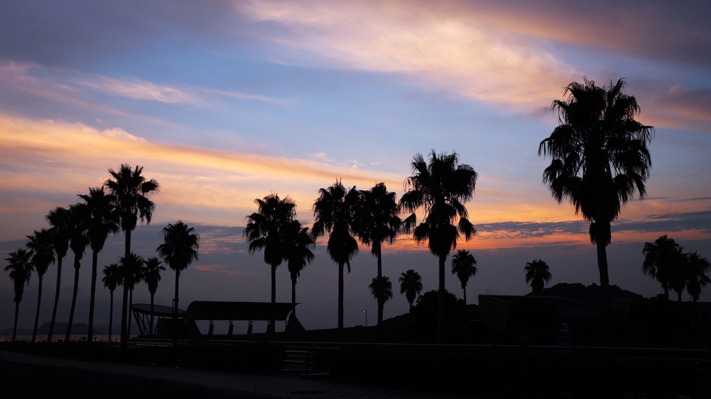 フェニックスのシルエット