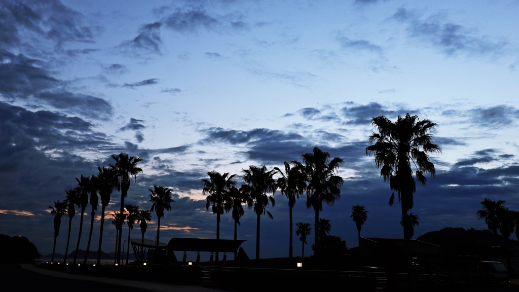 フェニックスのシルエット