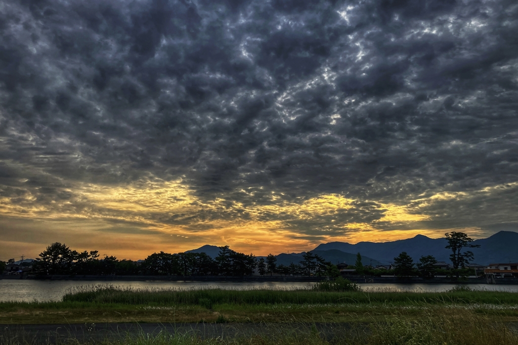 今朝の河川敷