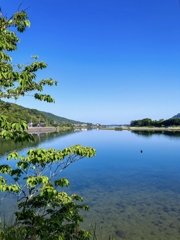 今朝の河口付近