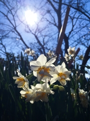 スマホの画です。