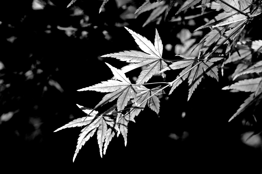 Last upという名の今季ラストアップ