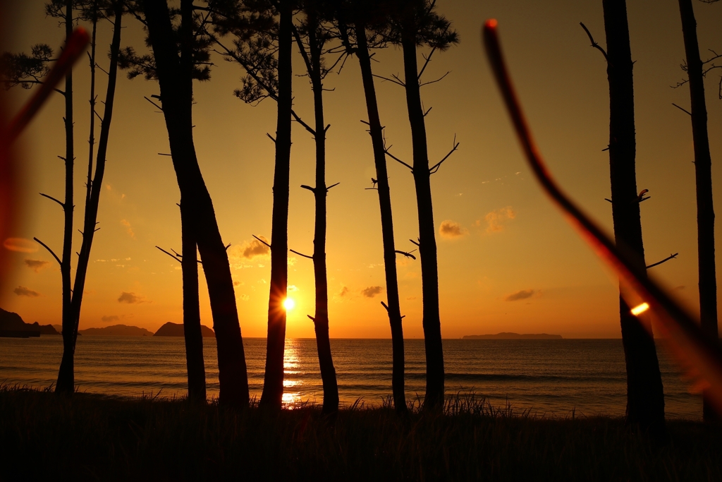 サングラス越しの夕景