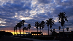 フェニックスのある夕景