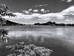 Monochrome