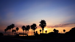 フェニックスのシルエット