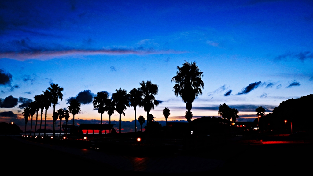 フェニックスのシルエットと歩道灯