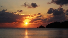 The 夕陽