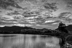 Monochrome