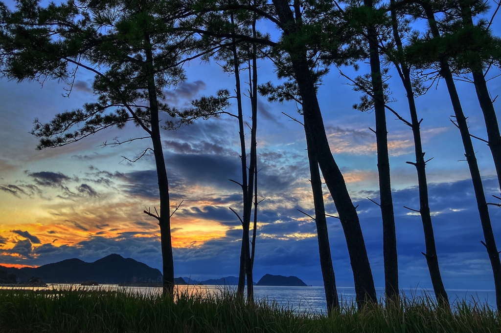 車の中から眺める夕景