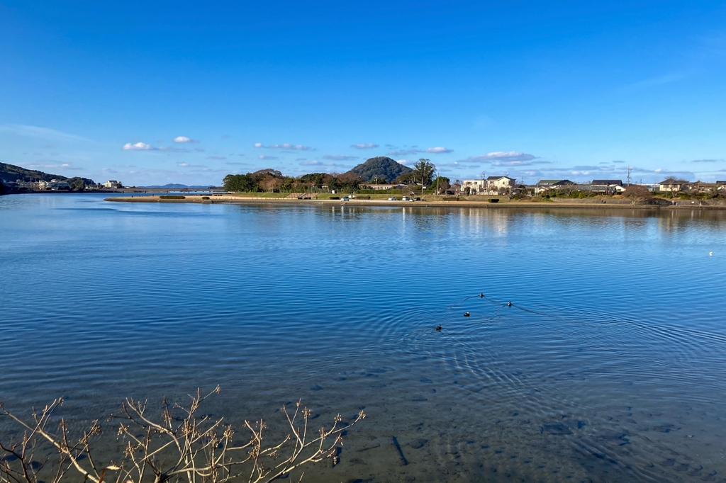 河口付近の渡り鳥たち