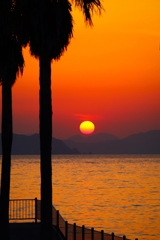 帰宅前の寄り道ver.4