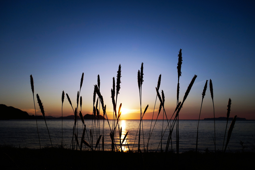 Silhouette