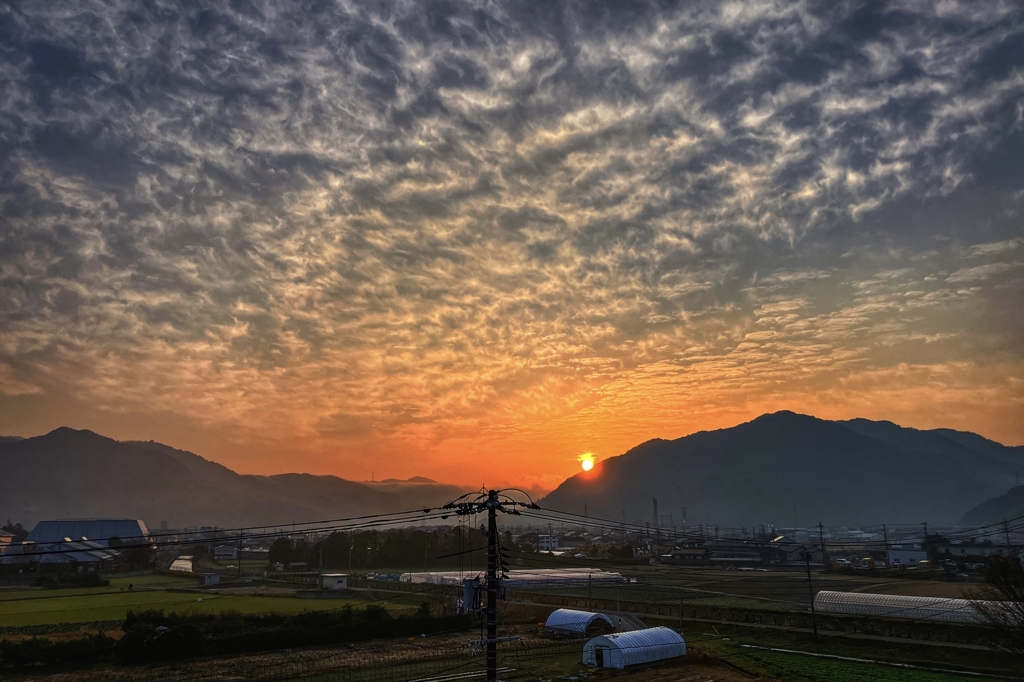 残すところ、あと2日 ver.2