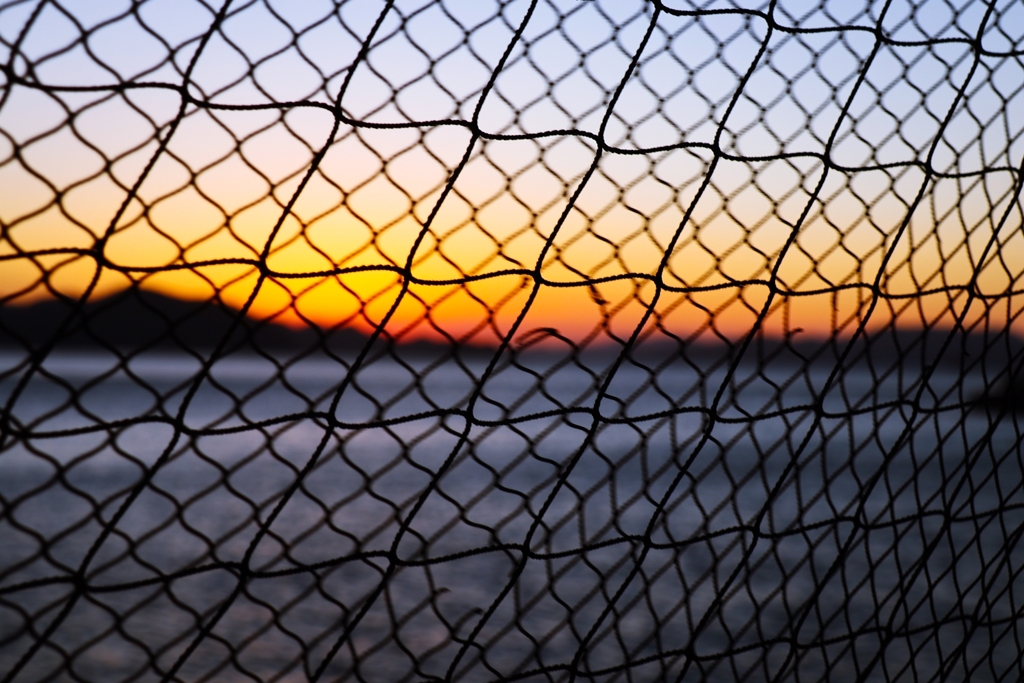 網越しのグラデーション