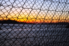 網越しのグラデーション