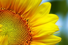 グラデーションが綺麗