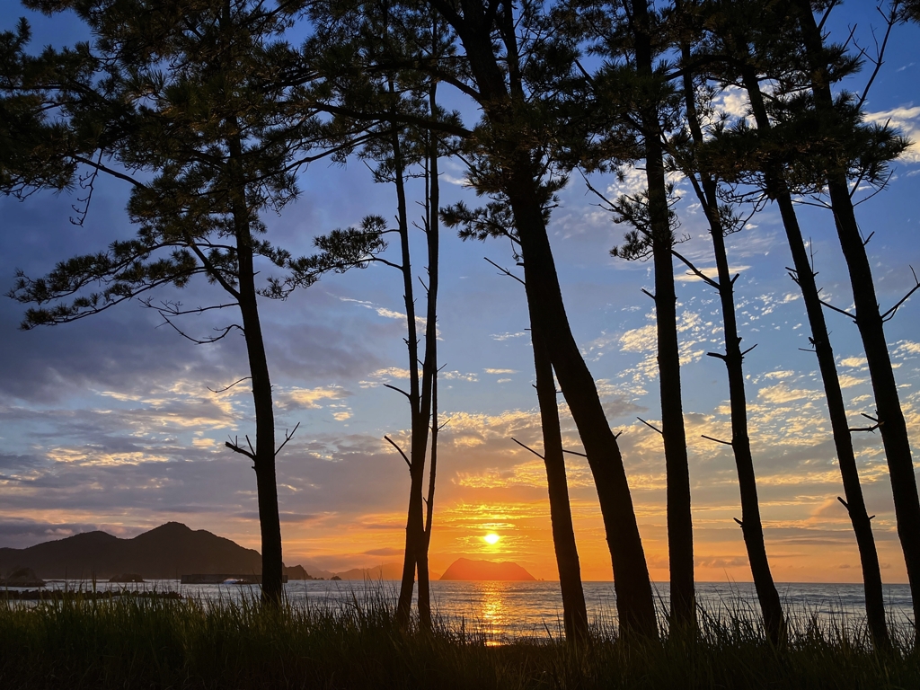 今日の寄り道.3