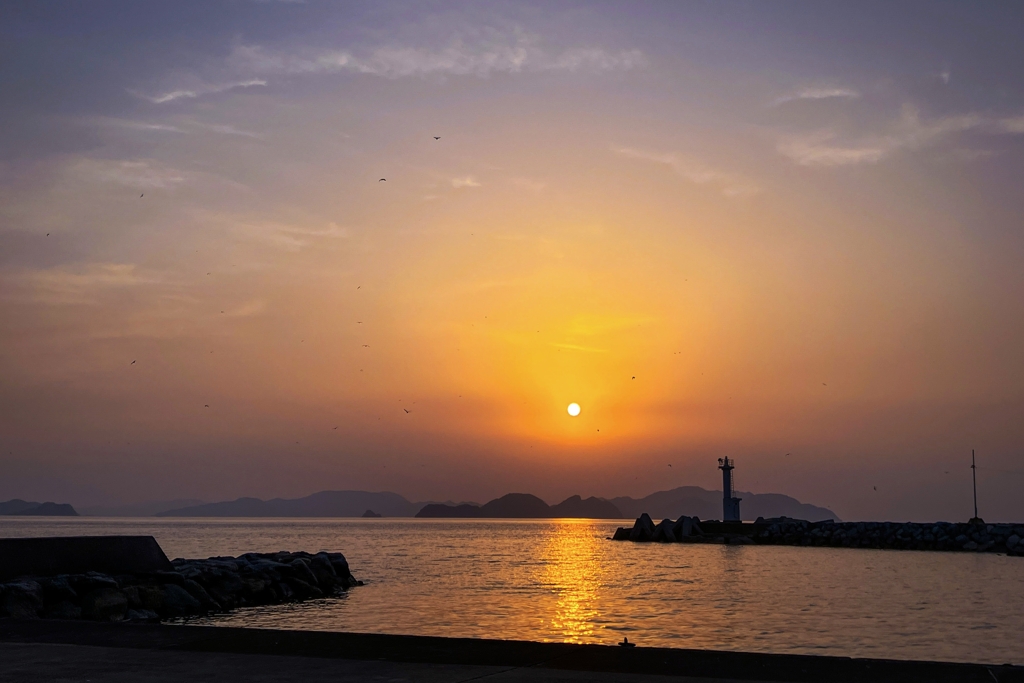 カモメの飛び交う夕暮れ時