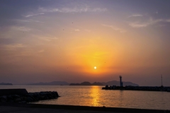 カモメの飛び交う夕暮れ時