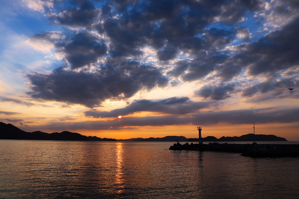 隣町の漁港にて
