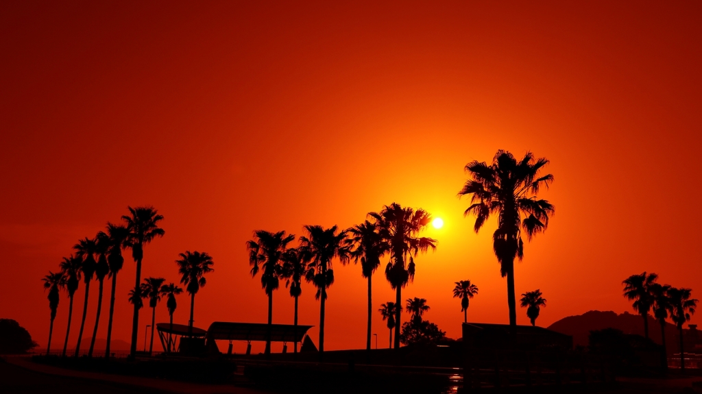 オレンジフィルターの世界