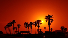 オレンジフィルターの世界