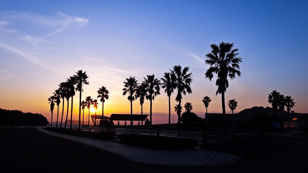 帰宅前の寄り道.2