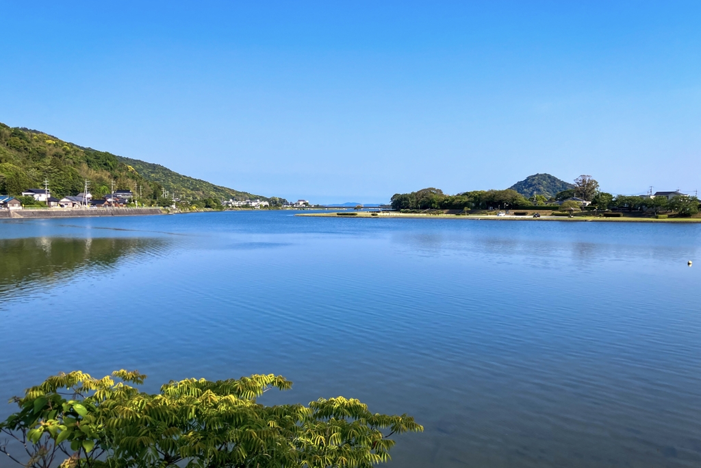 今朝の河口付近