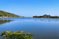 今朝の河口付近