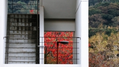 非常階段越しのアカ