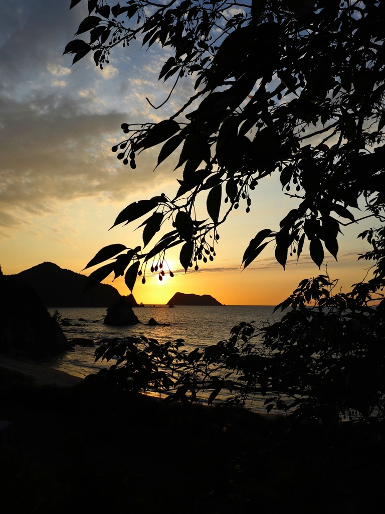 サクランボのシルエット.2