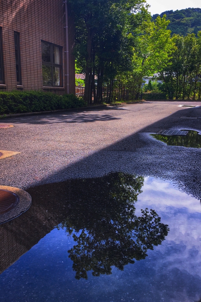 光と影と映り込み