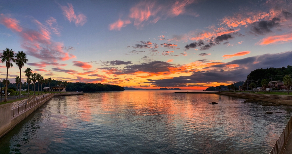 パノラマビュー