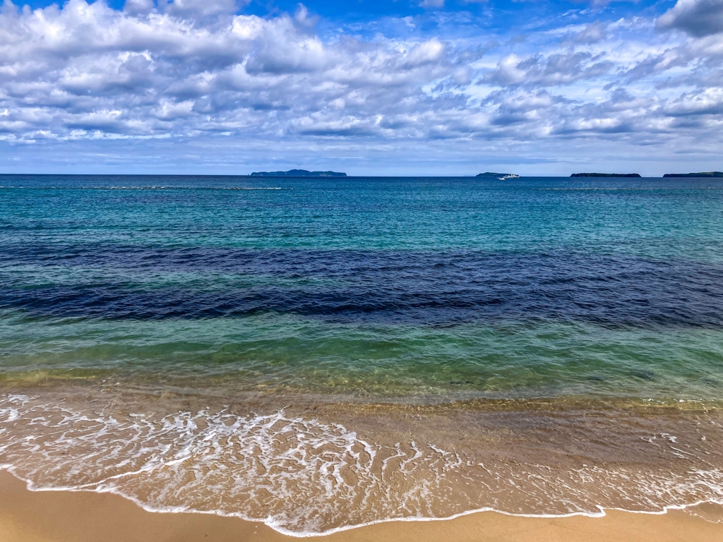 夏の海