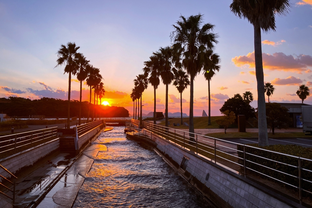久し振りの日没前