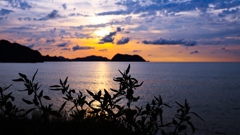 雑草のシルエット