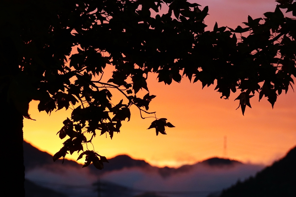 朝焼けのシルエット