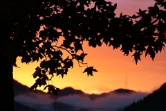 朝焼けのシルエット